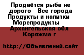 Продаётся рыба не дорого - Все города Продукты и напитки » Морепродукты   . Архангельская обл.,Коряжма г.